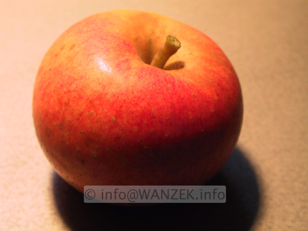 Apfel Alkmene 02.JPG